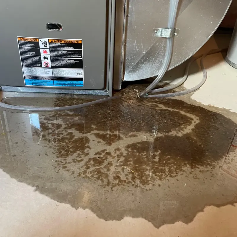 Appliance Leak Cleanup in Pittsburg County, OK